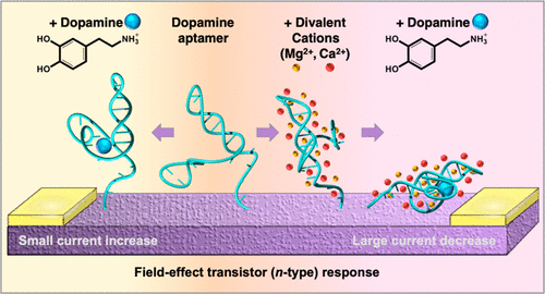 Divalent cation dependence enhances dopamine aptamer biosensing