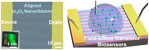 Narrower Nanoribbon Biosensors Fabricated by Chemical Lift-off Lithography Show Higher Sensitivity